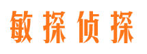 城中市私家侦探